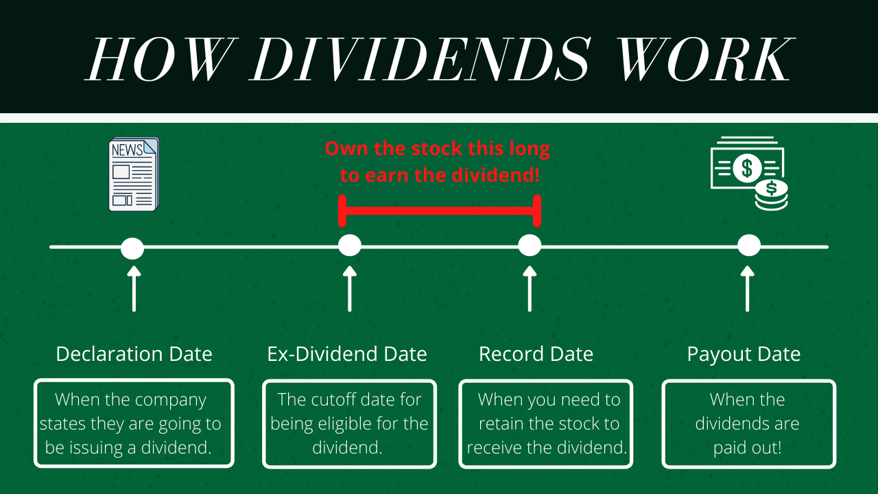What Is A Dividend? | Long-Term Growth Investing 101